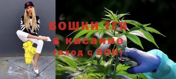 mdpv Новодвинск