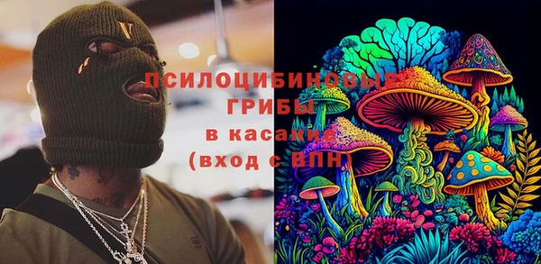mdpv Новодвинск