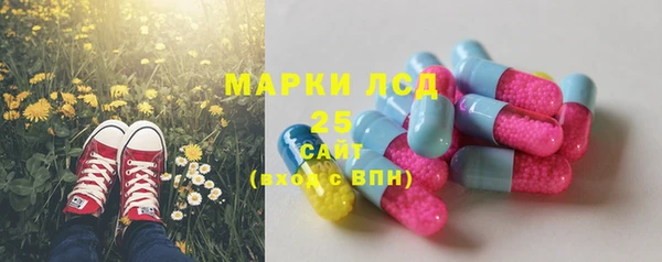 mdpv Новодвинск