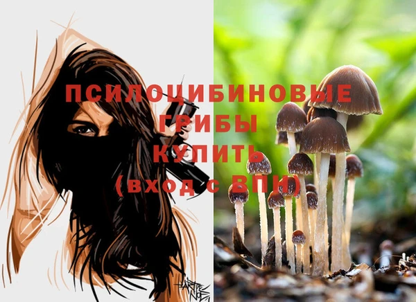 альфа пвп Новокубанск