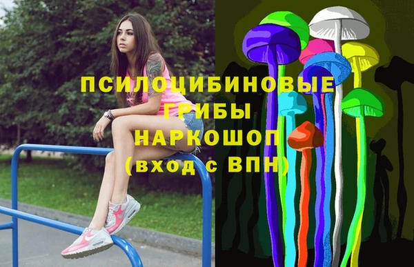 альфа пвп Новокубанск