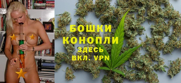 mdpv Новодвинск