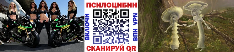 hydra ссылка  Приволжск  Псилоцибиновые грибы мицелий 